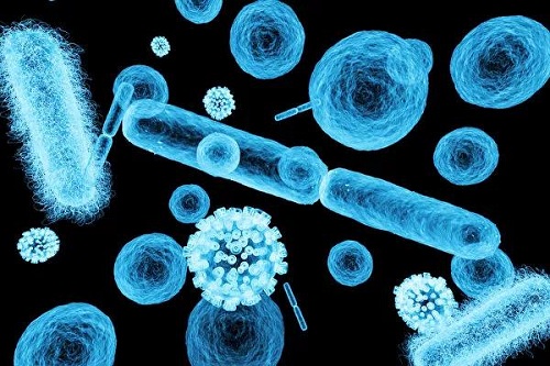 分享 | 水螺桿的壓縮空氣中會有很多微生物嗎？