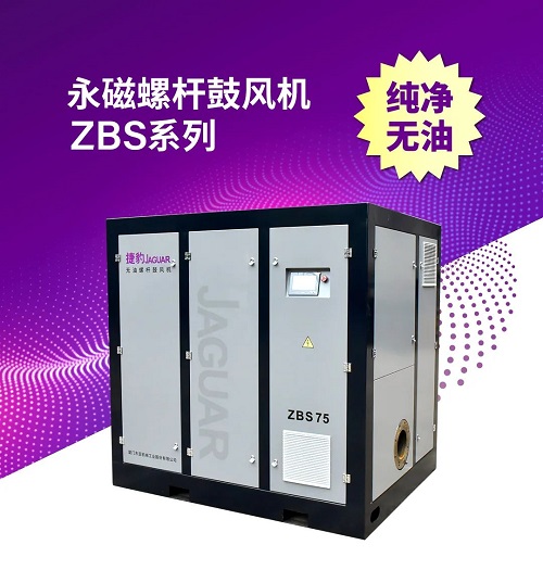 無(wú)油螺桿鼓風(fēng)機(jī)ZBS系列 無(wú)油螺桿鼓風(fēng)機(jī)ZBS系列