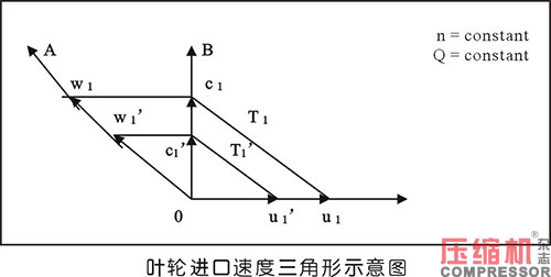 20241202997456.jpg 17.JPG